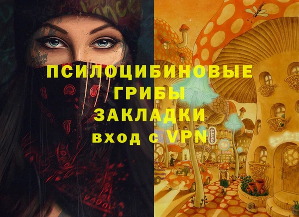бутират Переславль-Залесский